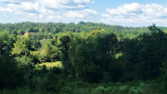 River West Outlook