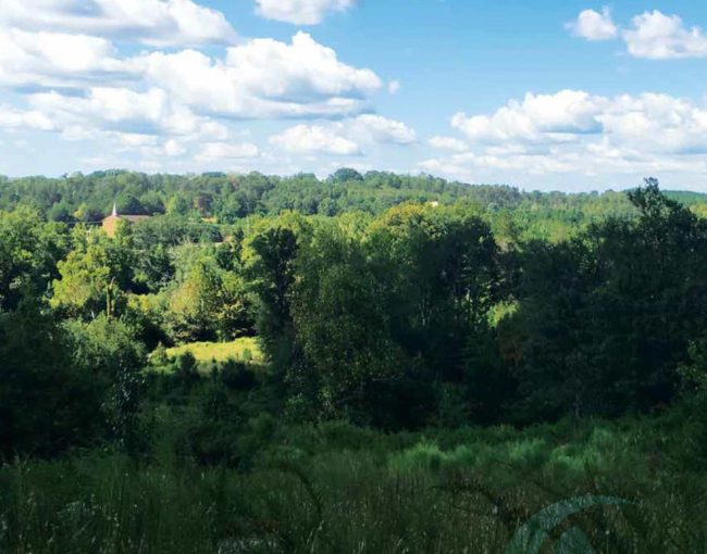 River West Outlook