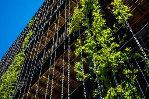 Gorgeous Green Building