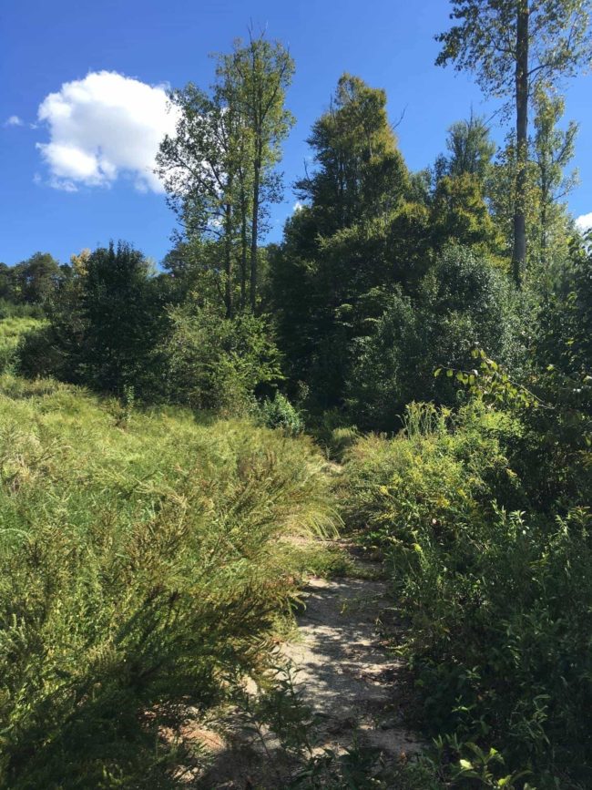 River West Track