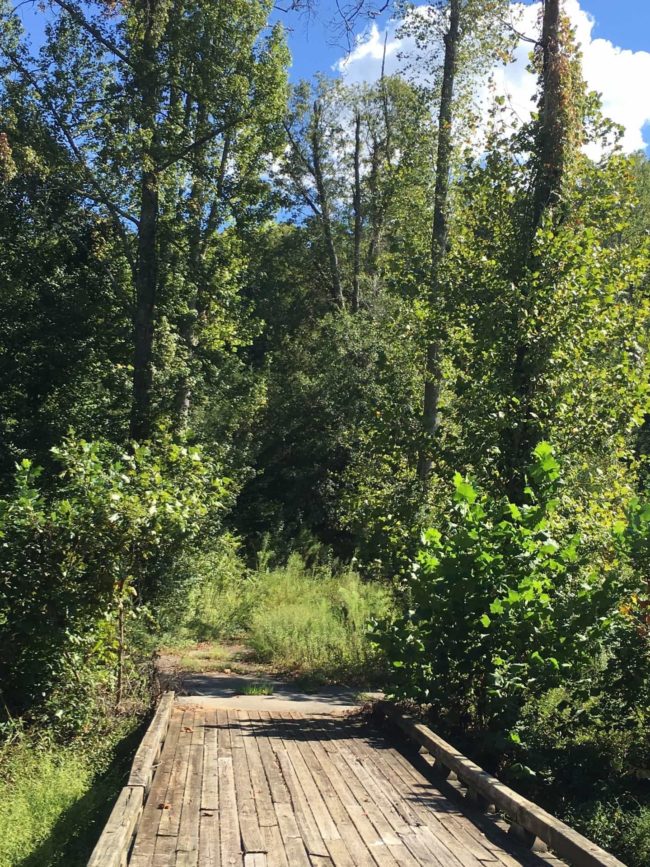 River West Track and Bridge