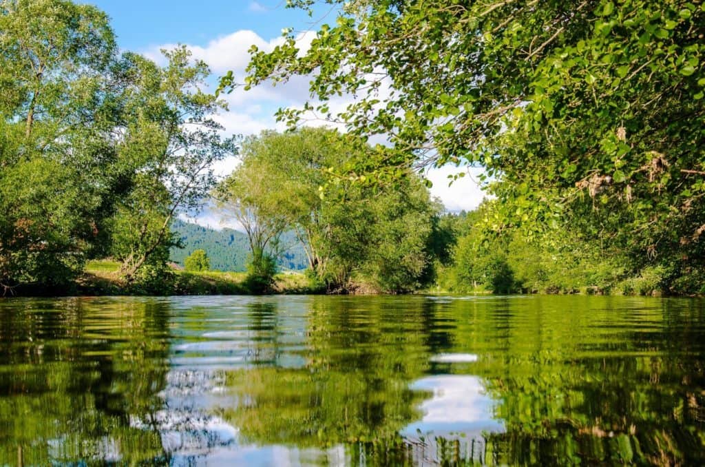 Post-Irma: Conservation Agenda More Vital Than Ever