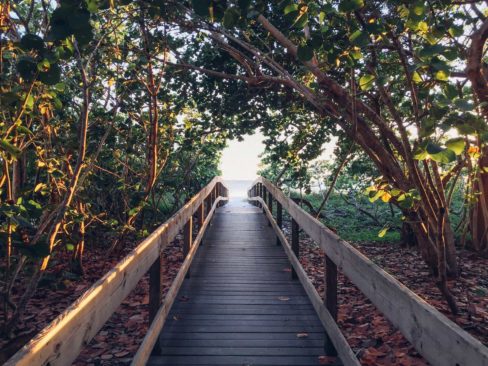 Walkway to the beach in Florida
