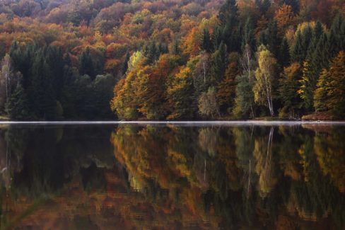 Still lake in Georgia