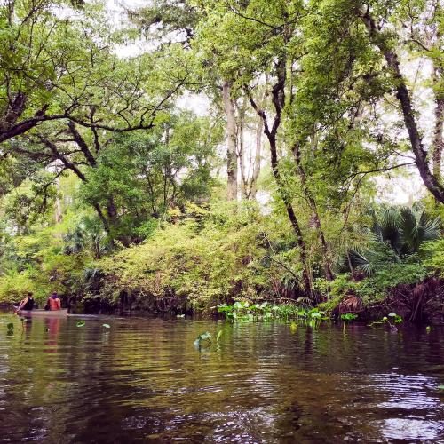 Wekiwa_Springs_1