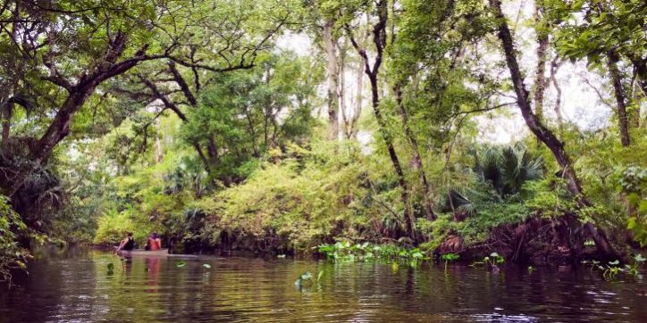 Wekiwa_Springs_1