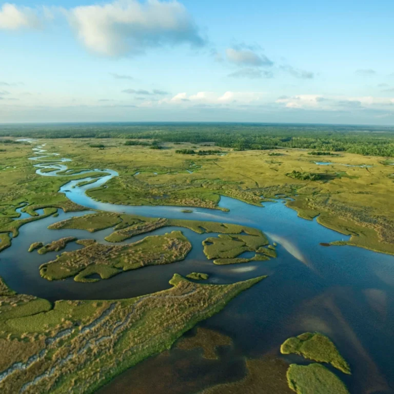 Overhead-of-Florida-rural-land